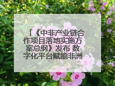 《中非产业链合作项目落地实施方案总纲》发布 数字化平台赋能非洲发展驶入快车道