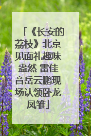 《长安的荔枝》北京见面礼趣味盎然 雷佳音岳云鹏现场认领卧龙凤雏