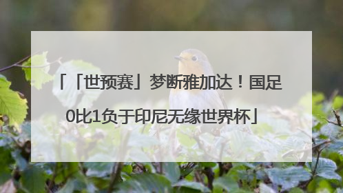 「世预赛」梦断雅加达！国足0比1负于印尼无缘世界杯