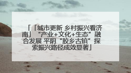 「城市更新 乡村振兴看济南」“产业+文化+生态”融合发展 平阴“胶乡古镇”探索振兴路径成效显著