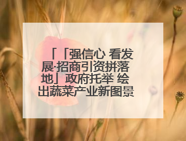 「强信心 看发展·招商引资拼落地」政府托举 绘出蔬菜产业新图景——镇原县甘肃聚广利现代设施蔬菜种植基地见闻