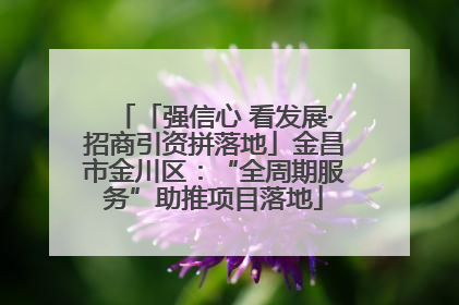 「强信心 看发展·招商引资拼落地」金昌市金川区：“全周期服务”助推项目落地