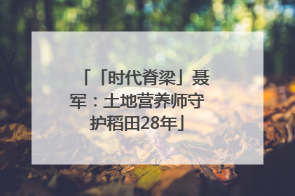 「时代脊梁」聂军：土地营养师守护稻田28年