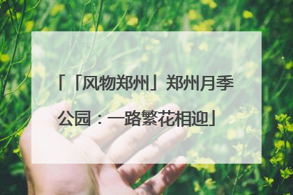 「风物郑州」郑州月季公园：一路繁花相迎