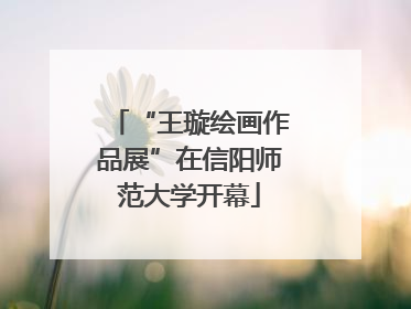 “王璇绘画作品展”在信阳师范大学开幕