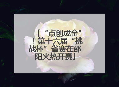 “点创成金”！第十六届“挑战杯”省赛在邵阳火热开赛