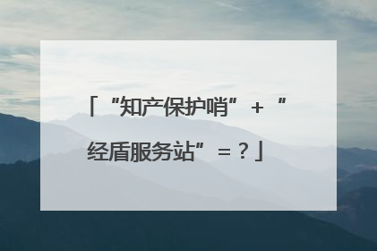 “知产保护哨”+“经盾服务站”=？