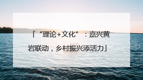 “理论+文化”：嘉兴黄岩联动，乡村振兴添活力