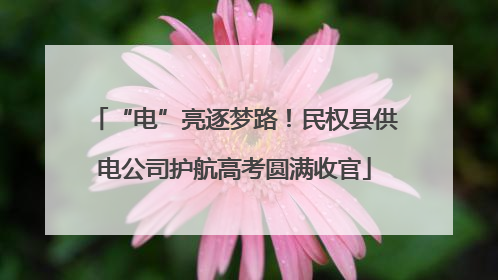 “电”亮逐梦路！民权县供电公司护航高考圆满收官