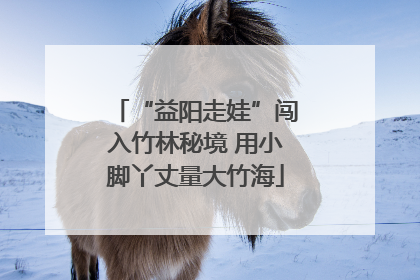 “益阳走娃”闯入竹林秘境 用小脚丫丈量大竹海