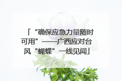 “确保应急力量随时可用”——广西应对台风“蝴蝶”一线见闻