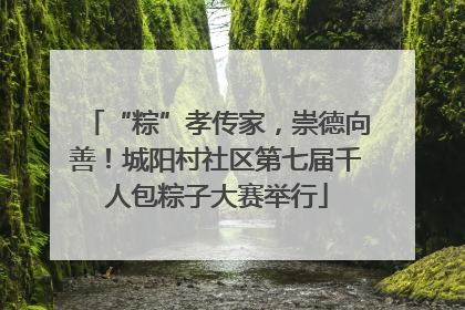 “粽”孝传家，崇德向善！城阳村社区第七届千人包粽子大赛举行
