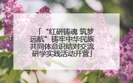“红研铸魂 筑梦远航”铸牢中华民族共同体意识结对交流研学实践活动开营