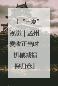 “三夏”视觉｜孟州麦收正当时 机械减损保归仓