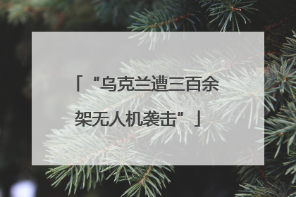 “乌克兰遭三百余架无人机袭击”