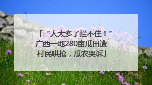 “人太多了拦不住！”广西一地280亩瓜田遭村民哄抢，瓜农哭诉