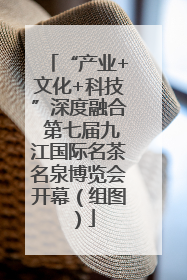 “产业+文化+科技”深度融合 第七届九江国际名茶名泉博览会开幕（组图）