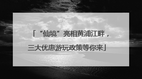 “仙境”亮相黄浦江畔，三大优惠游玩政策等你来