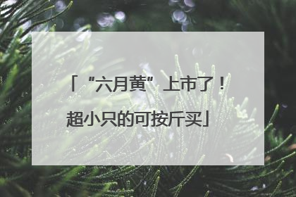 “六月黄”上市了！超小只的可按斤买
