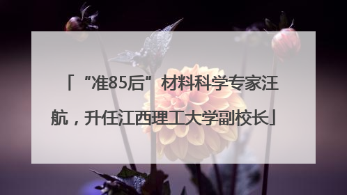 “准85后”材料科学专家汪航，升任江西理工大学副校长