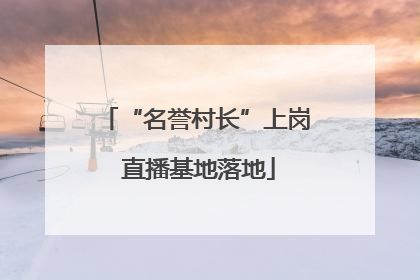 “名誉村长”上岗 直播基地落地