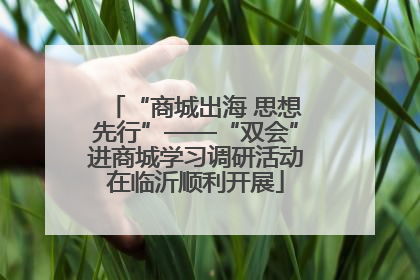 “商城出海 思想先行”——“双会”进商城学习调研活动在临沂顺利开展