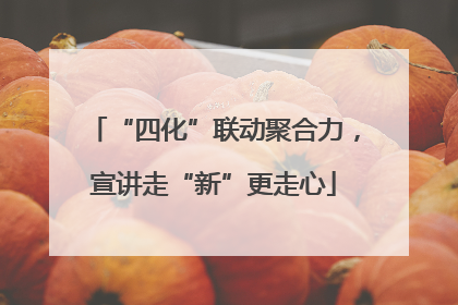 “四化”联动聚合力，宣讲走“新”更走心