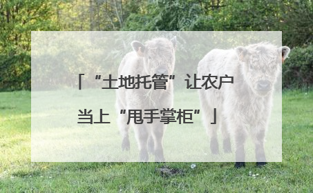 “土地托管”让农户当上“甩手掌柜”