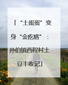 “土蛋蛋”变身“金疙瘩”：孙伯镇西程村土豆丰收记