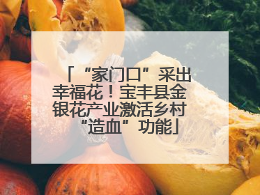 “家门口”采出幸福花！宝丰县金银花产业激活乡村“造血”功能