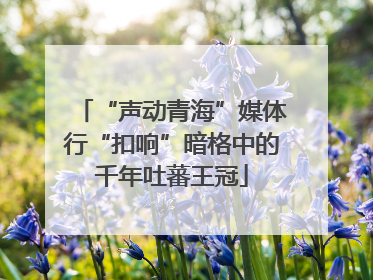 “声动青海”媒体行“扣响”暗格中的千年吐蕃王冠