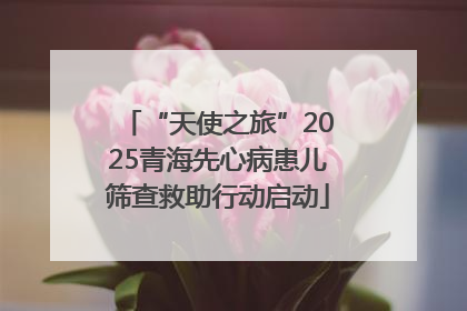 “天使之旅”2025青海先心病患儿筛查救助行动启动