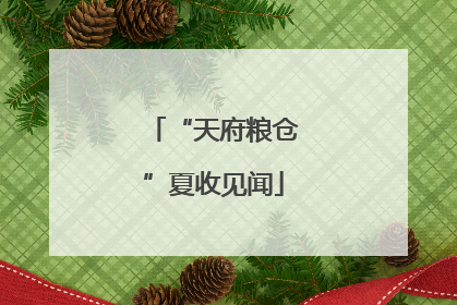 “天府粮仓”夏收见闻