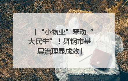 “小物业”牵动“大民生”！舞钢市基层治理显成效