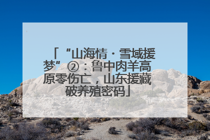 “山海情・雪域援梦”②：鲁中肉羊高原零伤亡，山东援藏破养殖密码