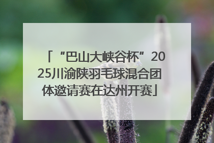 “巴山大峡谷杯”2025川渝陕羽毛球混合团体邀请赛在达州开赛