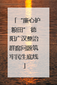“廉心护粮田” 德阳广汉整治群腐问题筑牢民生底线