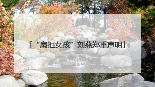 “扁担女孩”刘燕郑重声明