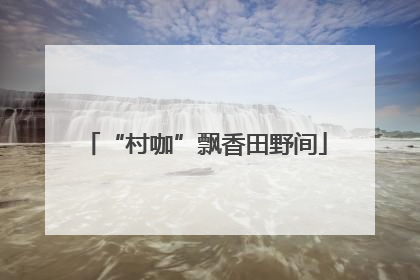 “村咖”飘香田野间