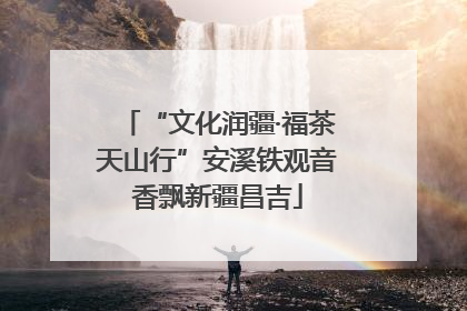 “文化润疆·福茶天山行”安溪铁观音香飘新疆昌吉
