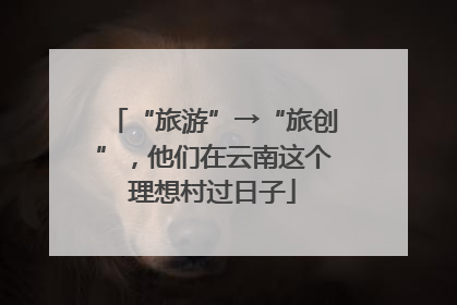 “旅游”→“旅创”，他们在云南这个理想村过日子