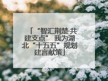 “智汇荆楚·共建支点” 我为湖北“十五五”规划建言献策