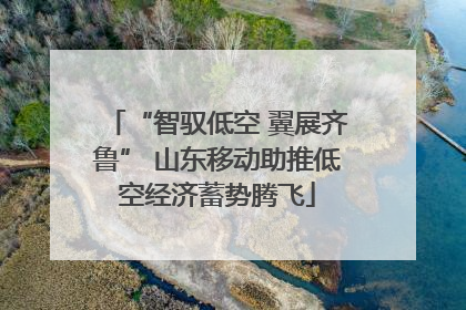“智驭低空 翼展齐鲁” 山东移动助推低空经济蓄势腾飞