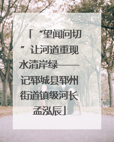 “望闻问切”让河道重现水清岸绿——记郓城县郓州街道镇级河长孟泓辰