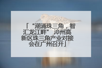 “潮涌珠三角，智汇龙江畔” 漳州高新区珠三角产业对接会在广州召开