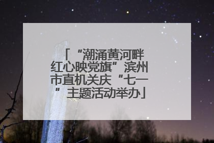 “潮涌黄河畔 红心映党旗”滨州市直机关庆“七一”主题活动举办