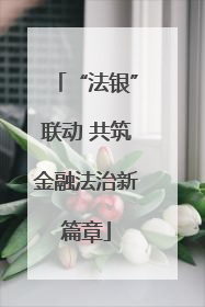 “法银”联动 共筑金融法治新篇章