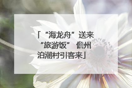 “海龙舟”送来“旅游饭” 儋州泊潮村引客来