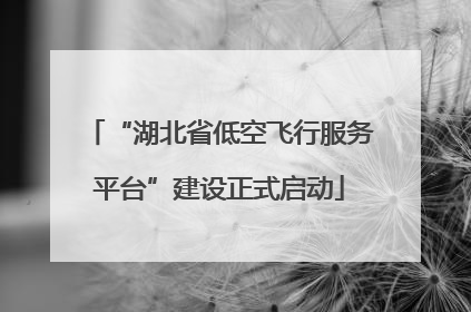 “湖北省低空飞行服务平台”建设正式启动