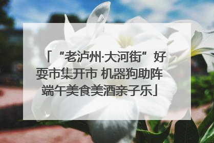 “老泸州·大河街”好耍市集开市 机器狗助阵端午美食美酒亲子乐
